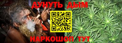 гашик Владимир