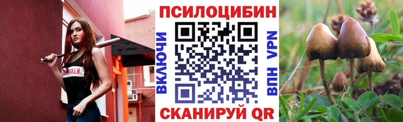 Псилоцибиновые грибы Magic Shrooms  Красноперекопск 